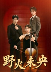 野火未央（40集）火爆热门短剧