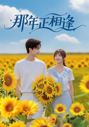 那年正相逢（60集）古装短剧热播
