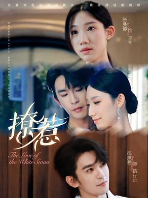 撩惹（80集）熬夜追短剧