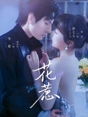 花惹（70集）经典老剧免费看