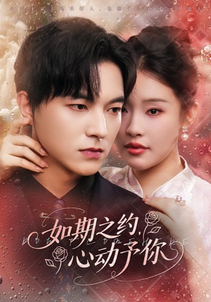 如期之约心动予你（82集）最热门短剧来了