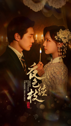 夜色缠枝百度HE版本（62集）免费看短剧