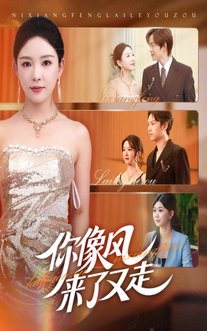 你像风来了又走（59集）在线看