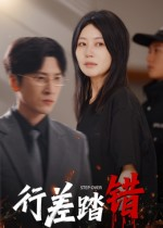 行差踏错（61集）精彩好看短剧