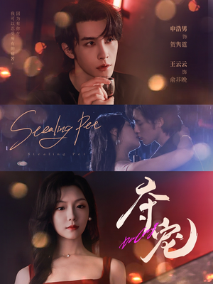 夺宠（88集）热门短剧推荐