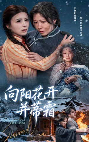 向阳花开并蒂霜（60集）短剧在哪个平台