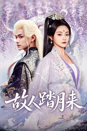 故人踏月来（60集）高分推荐免费看