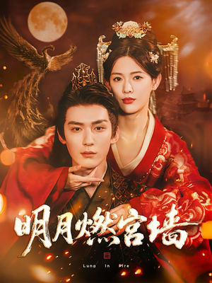 明月燃宫墙（60集）剧好看短剧推荐