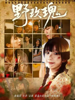 野玫瑰（82集）热门短剧在线看
