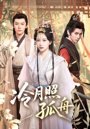 冷月照孤舟（77集）1-102集