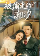 被偷走的潮汐（60集）剧好看短剧推荐