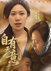 自有天意（35集）短剧免费分享