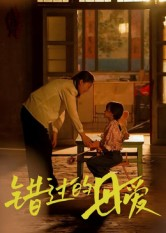 错过的母爱（32集）演员表