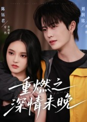 重燃之深情未晚（70集）高清无码免费看