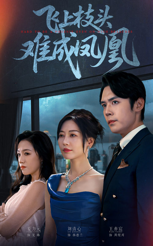 飞上枝头难成凤凰（47集）今日短剧分享