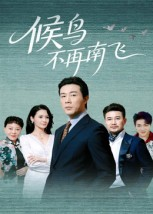 候鸟不再南飞（80集）红果短剧看全集