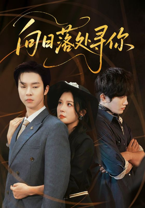 向日落处寻你（70集）好看的短剧电影