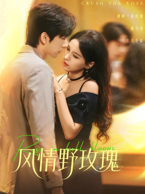 风情野玫瑰（70集）好看吗