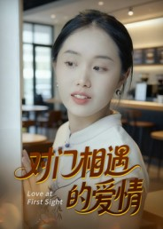 对门相遇的爱情（16集）全集下载
