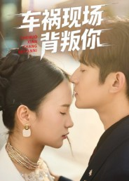 车祸现场背叛你（37集）全季一次看完
