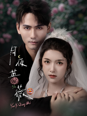 月夜蔷薇（72集）全剧看到大结局