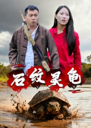 石纹灵龟（30集）温柔追捕短剧