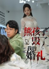 熊孩子毁了我的婚礼（36集）演员表