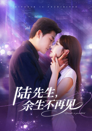 陆先生，余生不再见（88集）热门短剧榜单