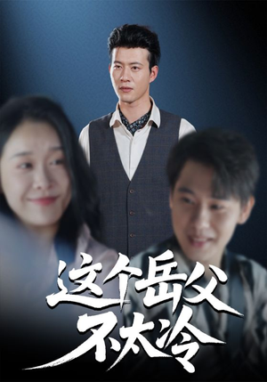 这个岳父不太冷（30集）在哪里可以看