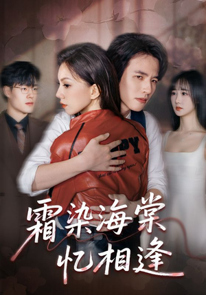 霜染海棠忆相逢（72集）免费看短剧