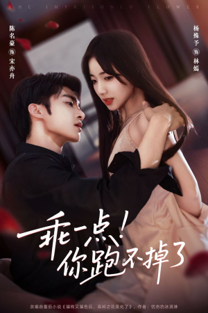 乖一点！你跑不掉了（80集）免费版