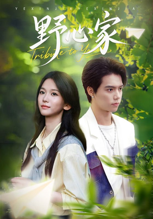 野心家（65集）简直不要太好看