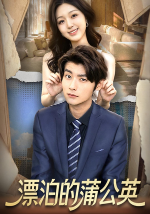 漂泊的蒲公英（60集）短剧全集免费看