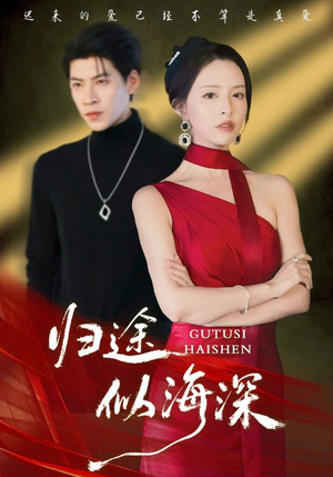 归途似海深（61集）免费看全网短剧