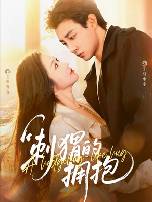 刺猬的拥抱（71集）在线免费观看