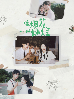 像烟花一样灿烂（60集）短剧全集免费看