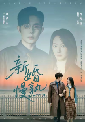 新婚慢熟（105集）全剧看到大结局