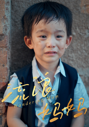 流浪妈妈（30集）精彩不断免费看