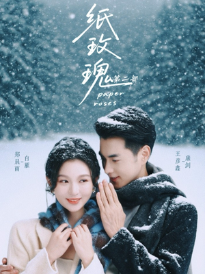 纸玫瑰第二部（80集）小短剧推荐