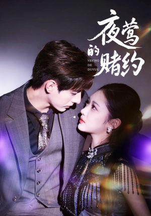 夜莺的赌约（71集）精彩短剧来了