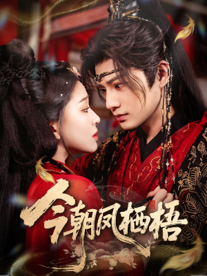 今朝凤栖梧（68集）这部短剧太好看