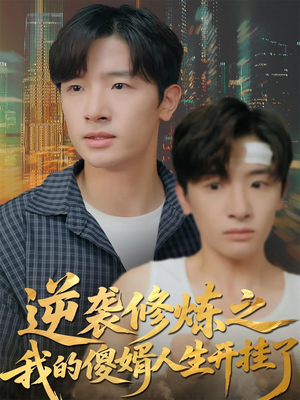 逆袭修炼之我的傻婿人生开挂了（65集）高分佳作免费看