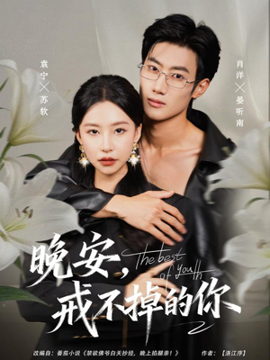 晚安，戒不掉的你（68集）80到100集