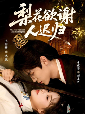 梨花欲谢人迟归（60集）原创精彩短剧