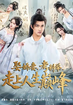 娶娇妻，考科举，走上人生巅峰（80集）精彩短剧看全集
