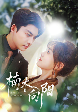 楠木向阳（70集）在线看