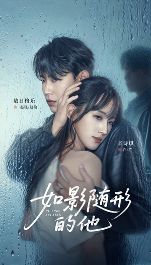 如影随形的他（30集）最后的大结局