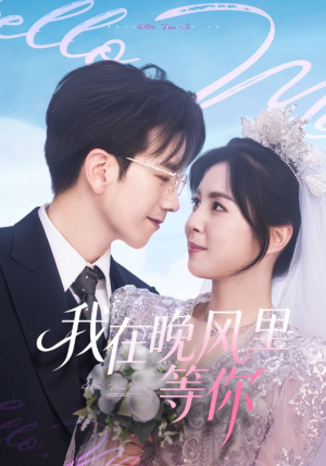 我在晚风里等你（65集）海量资源免费看