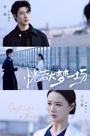 恍若大梦一场（53集）红果短剧免费看