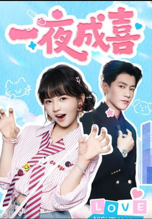 一夜成喜（60集））免费版
